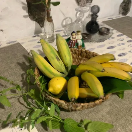 Waves Song - Chalet *