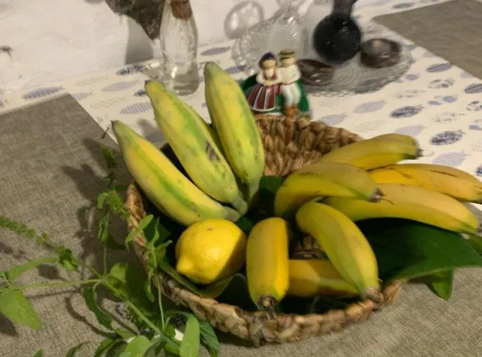 Waves Song - Horská chata *